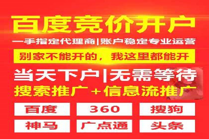竞价广告投放技巧与案例分析